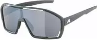Alpina A8687321, ALPINA Herren Radbrille Bonfire grau