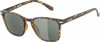 Alpina Sports Yefe havana matt/green