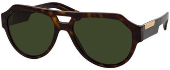 Dolce & Gabbana DG 4466 502/71