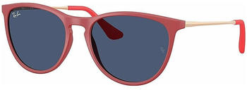 Ray-Ban Erika Kids RB9060S 718071