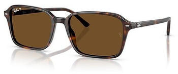 Ray-Ban Raimond RB2231 902/57