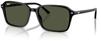 Ray-Ban Raimond RB2231 901/31