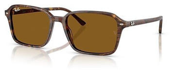 Ray-Ban Raimond RB2231 141833