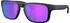 Oakley Holbrook S OO9509