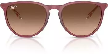 Ray-Ban Erika Classic RB4171 6815A5