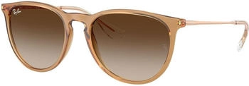 Ray-Ban Erika Classic RB4171 681413
