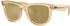 Ray-Ban Wayfarer Reverse RBR0502S