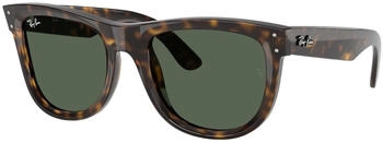 Ray-Ban Wayfarer Reverse RBR0502S 6790VR