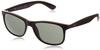 Ray-Ban Andy RB4202 606971 (matt black on shiny black/green)