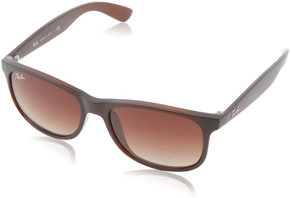 Ray-Ban Andy RB4202 607313 (matte brown/brown gradient)