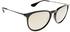 Ray-Ban Erika RB4171 601/5A 54-18 (black/gold mirrored)