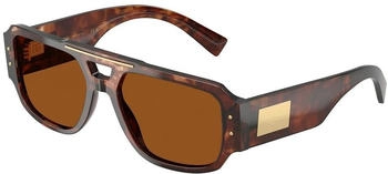 Dolce & Gabbana DG4482 322273