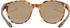 uvex LGL 54 havanna matt