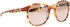 uvex LGL 54 havanna matt