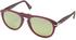 Persol PO0649