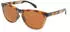 Oakley Frogskins Range XL OO9503