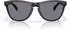 Oakley Frogskins Range XL OO9503