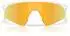 Oakley Resistor Sweep (Youth Fit) OJ9015
