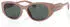 Superdry SD 996072 60
