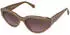 Superdry SD 996078 50