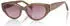 Superdry SD 996078 50