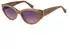 Superdry SD 996078 50