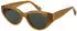 Superdry SD 996078 60