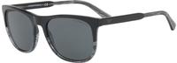 Emporio Armani EA4099 5566/87 (black-transparent striped grey/grey)