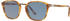 Persol PO3186S 106456 (brown spotted beige/light blue)