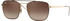 Ray-Ban RB3588 905513 (brown-gold/brown gradient)
