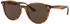 Ray-Ban RB4305