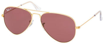 Ray-Ban Aviator Classic RB3025 9196AF