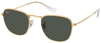 Ray-Ban Frank RB3857 919658