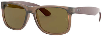 Ray-Ban Justin Color Mix RB4165 651073