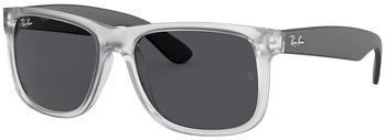 Ray-Ban Justin Color Mix RB4165 651287