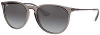 Ray-Ban RB 4171 ERIKA Damen-Sonnenbrille Vollrand Panto Kunststoff-Gestell, Grau