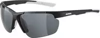 Alpina Sports Alpina Defey HR (Moon-grey matt, Silber) (22643427) Grau