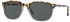 Persol PO3019S