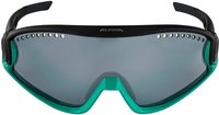 Alpina A865624037101, Alpina 5W1NG CM+ Sportbrille (371 turquoise/black, Ceramic