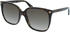 003 (havana/brown): Gucci GG0022S