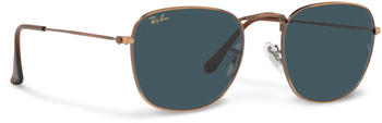 Ray-Ban Frank Legend Gold RB3857 9230R5