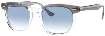 Ray-Ban Hawkeye RB2298 13553F