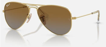 Ray-Ban Junior RJ9506S 223/T5 (polished gold/brown)