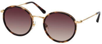 Kapten & Son Amsterdam sun umber tortoise