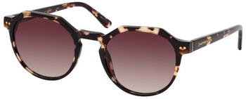Kapten & Son Manila umber tortoise