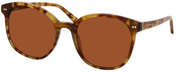 Kapten & Son Nairobi havana tortoise