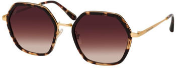 Kapten & Son Amsterdam E. umber tortoise