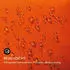 Blumfeldt Calais Sonnenschirm LED orange