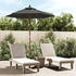 vidaXL Sonnenschirm mit Holzmast Anthrazit 196x231 cm (363161)