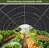 LuxusKollektion Sonnensegel rechteckig Schattennetz UV-Schutz 2x3m schwarz
